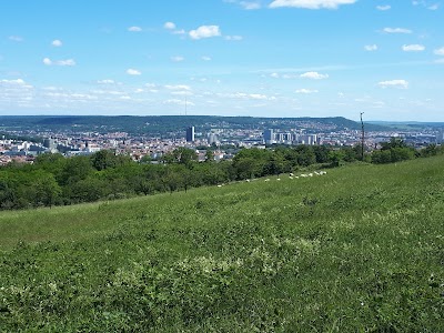 Photo 2 de Parc de Brabois