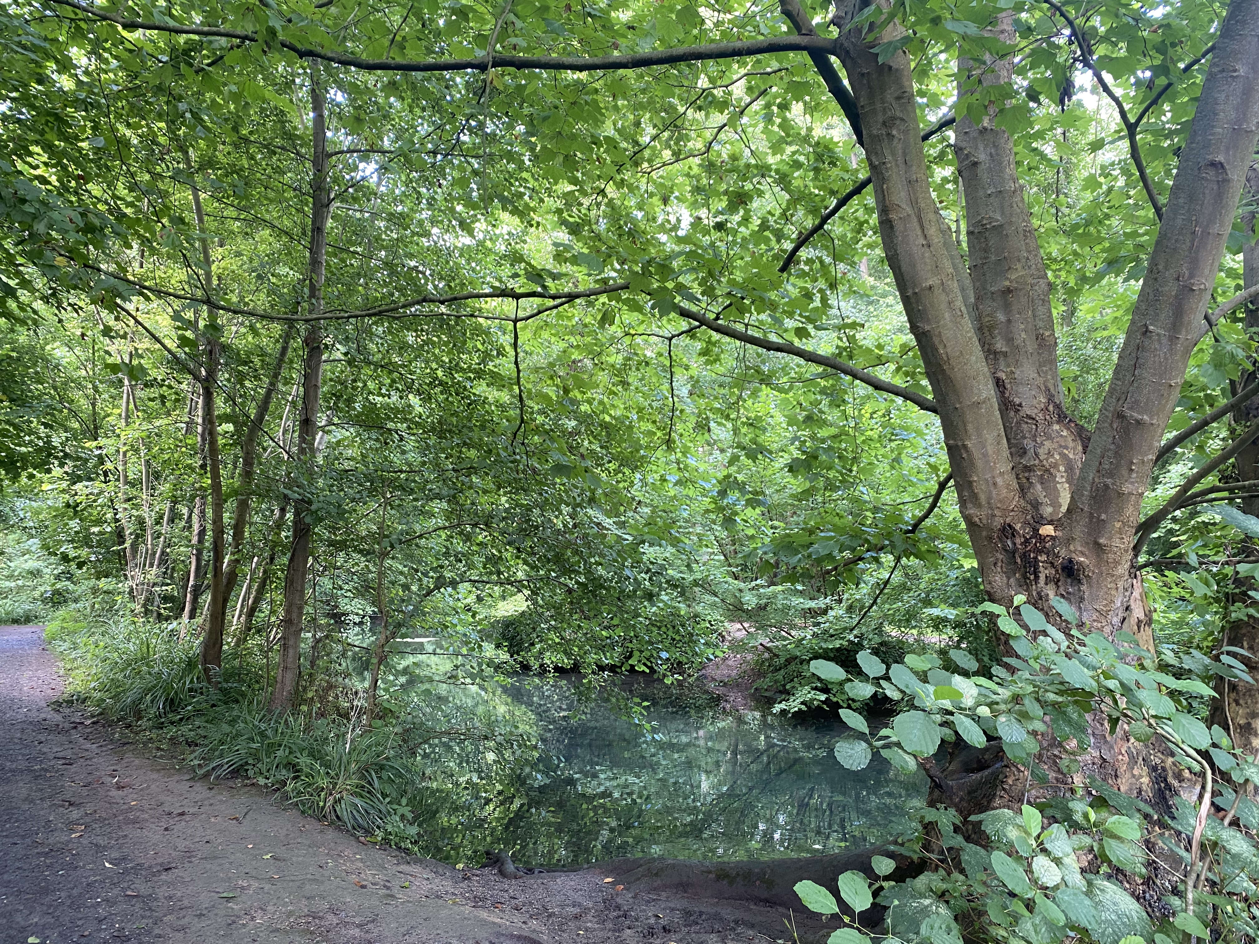 Parc du Biez