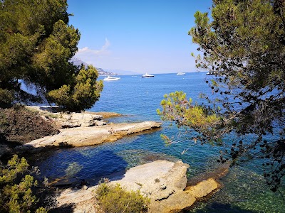 Photo 2 de Saint-Jean-Cap-Ferrat