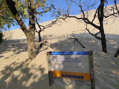 Photo 3 de Dune de Pilat