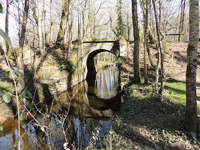 Photo 3 de Forêt du Gâvre