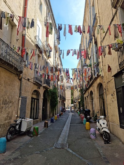 Photo 3 de Les Garçons