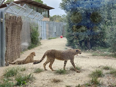 Photo 4 of Zoo de Montpellier
