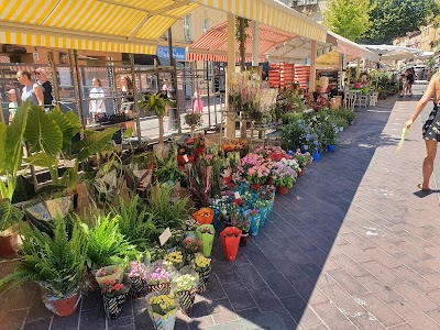 Photo 4 de Cours Saleya