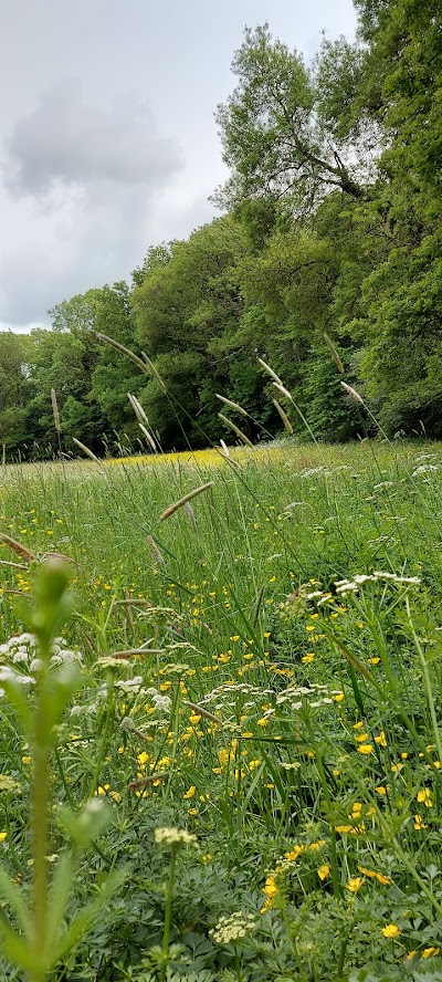 Photo 4 de Parc de la Filée