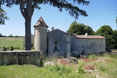 Photo 2 of compostel