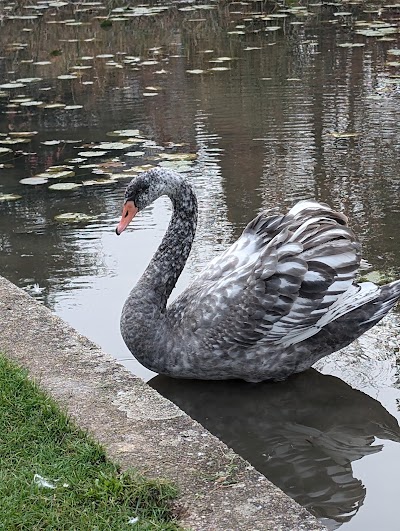 Photo 4 de Parc Richard Pouille