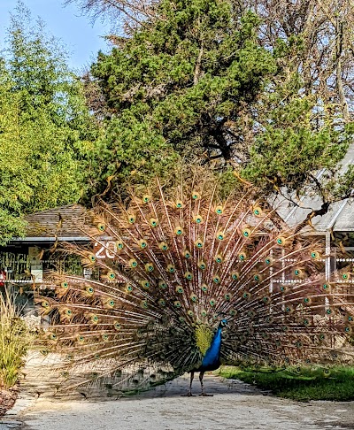 Photo 2 of Parc floral de Paris