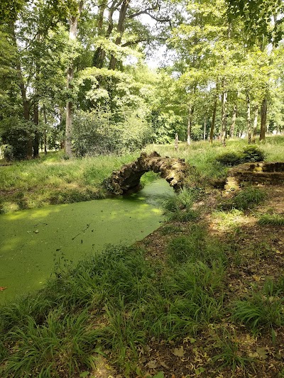 Photo 3 de Parc de Rémicourt
