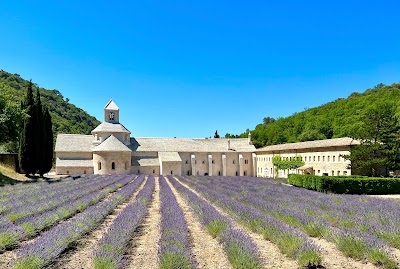 Photo 1 de Abbaye Notre-Dame de Sénanque