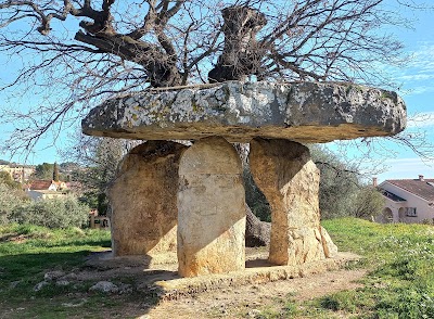 Photo 1 de Dolmen de la Pierre de la Fée
