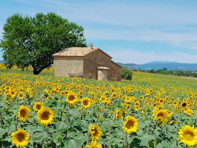 Photo 4 de Plateau de Valensole