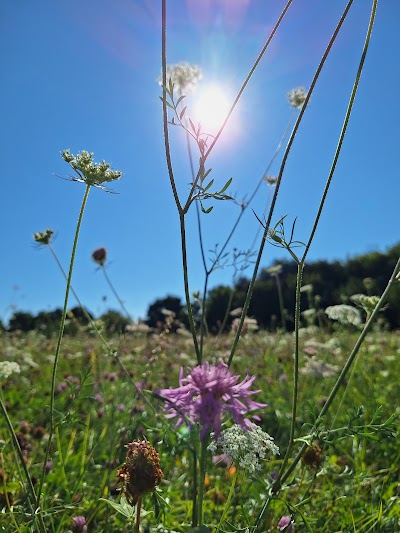 Photo 5 de Parc de la Gibauderie