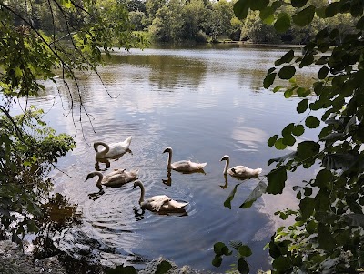 Photo 3 de Parc de la Ballastière