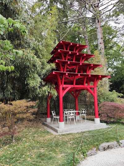 Photo 3 of Conservatoire et Jardin botaniques de la Ville de Genève
