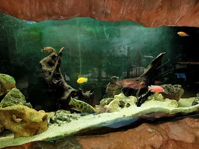 Photo 2 de Le Pavillon des Sciences