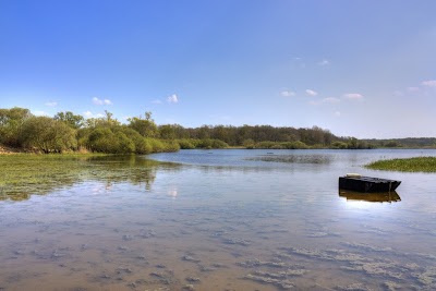 Photo 1 de Lac de Grand-Lieu