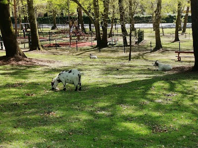 Photo 5 de Parc animalier de Nahuques