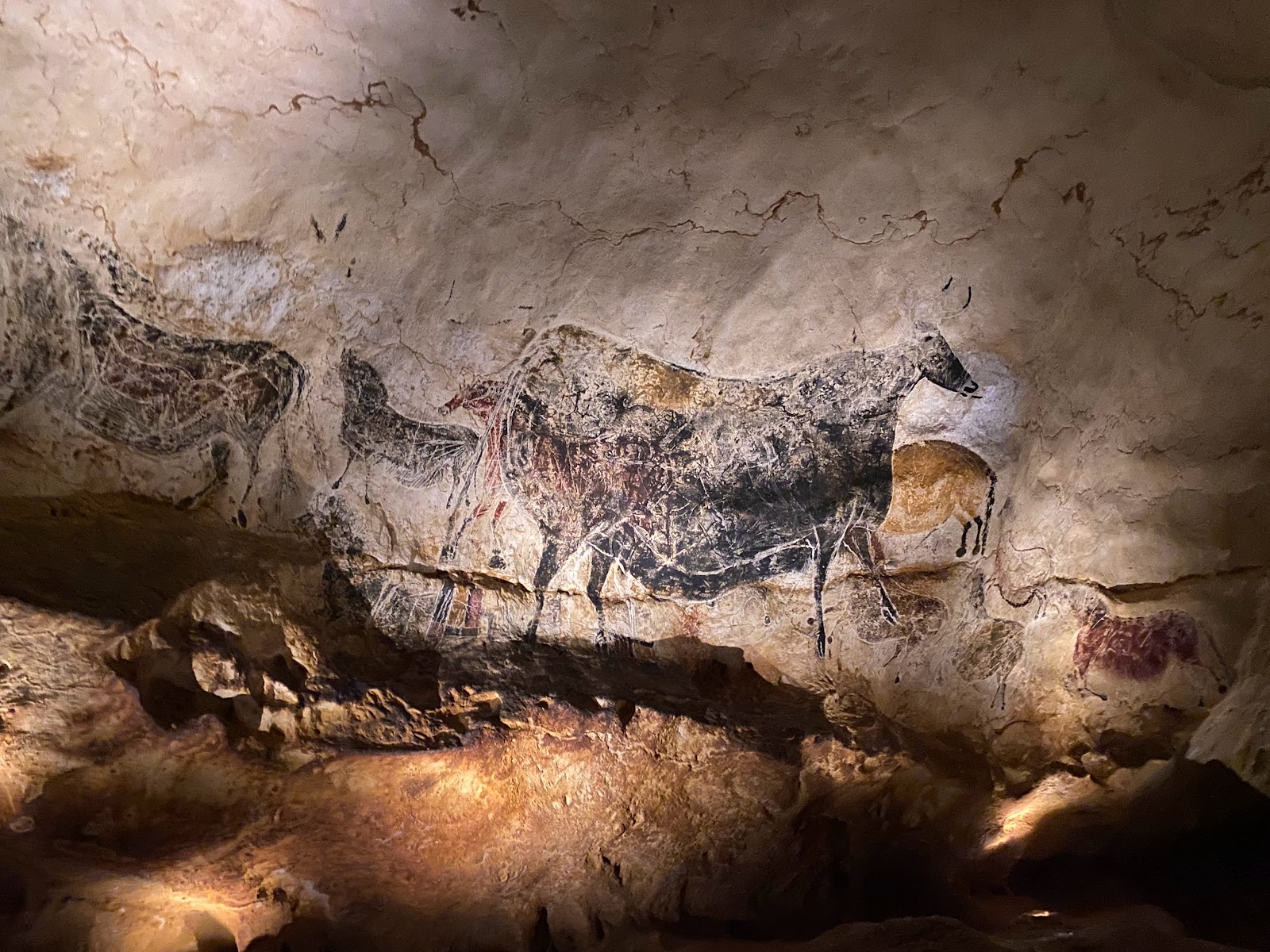 Photo 2 of Grottes de Lascaux