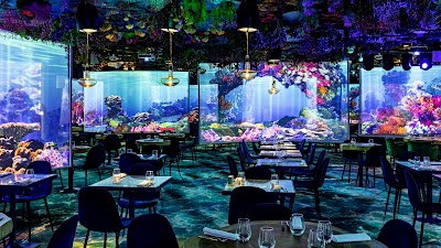 Under The Sea Restaurant - Ephemera