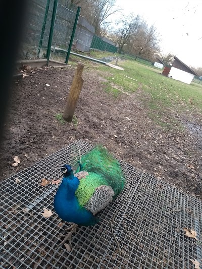 Photo 4 de Parc Moulineau