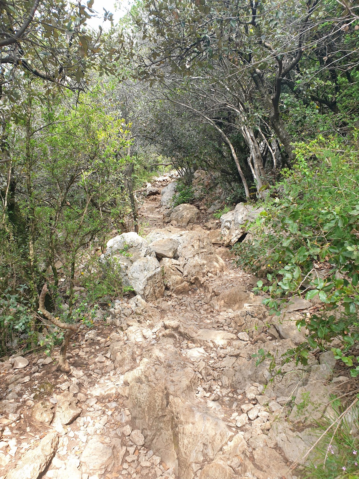 Photo 2 de Pic saint Loup