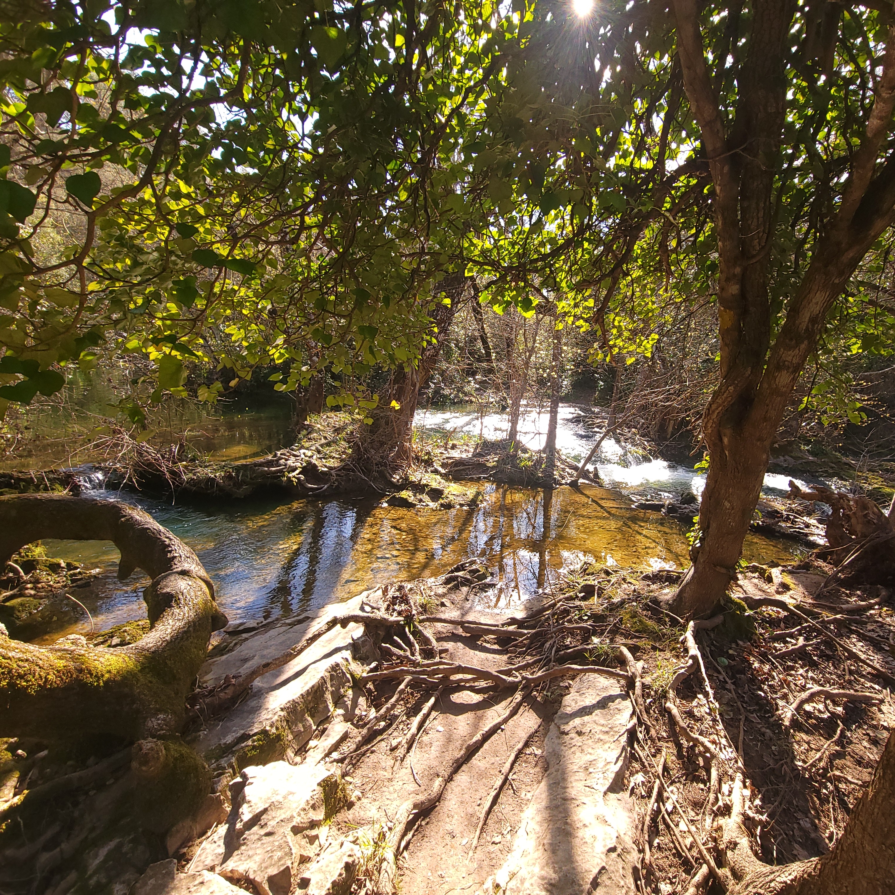 Photo 3 de Gorges du Caramy