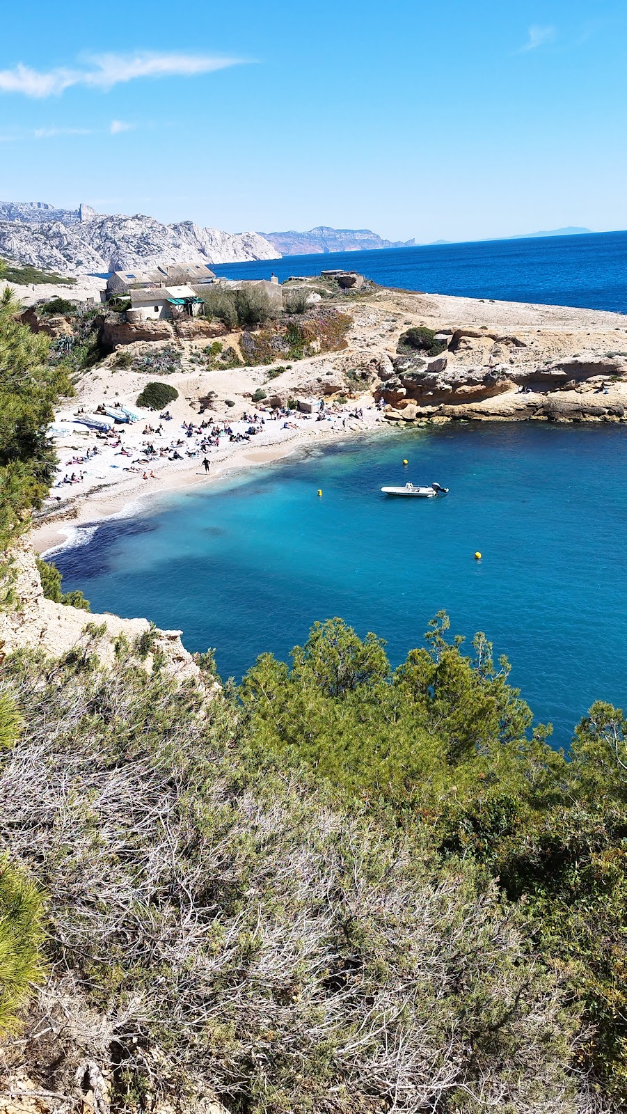 Photo 3 de Calanque de Marseilleveyre