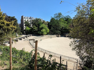 Photo 2 de Arènes de Lutèce