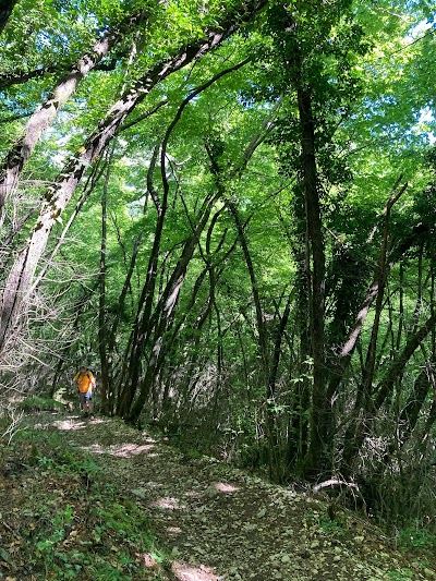 Photo 3 de Cascade de Vescagne