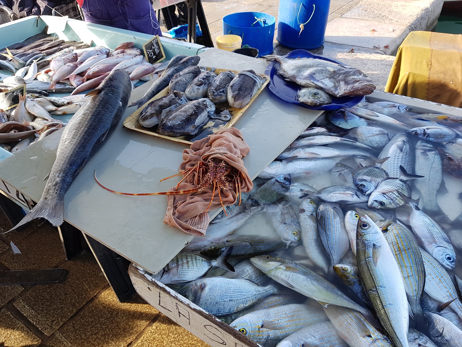 Photo 4 de Marché aux Poissons