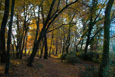 Photo 3 de Bois du Burck