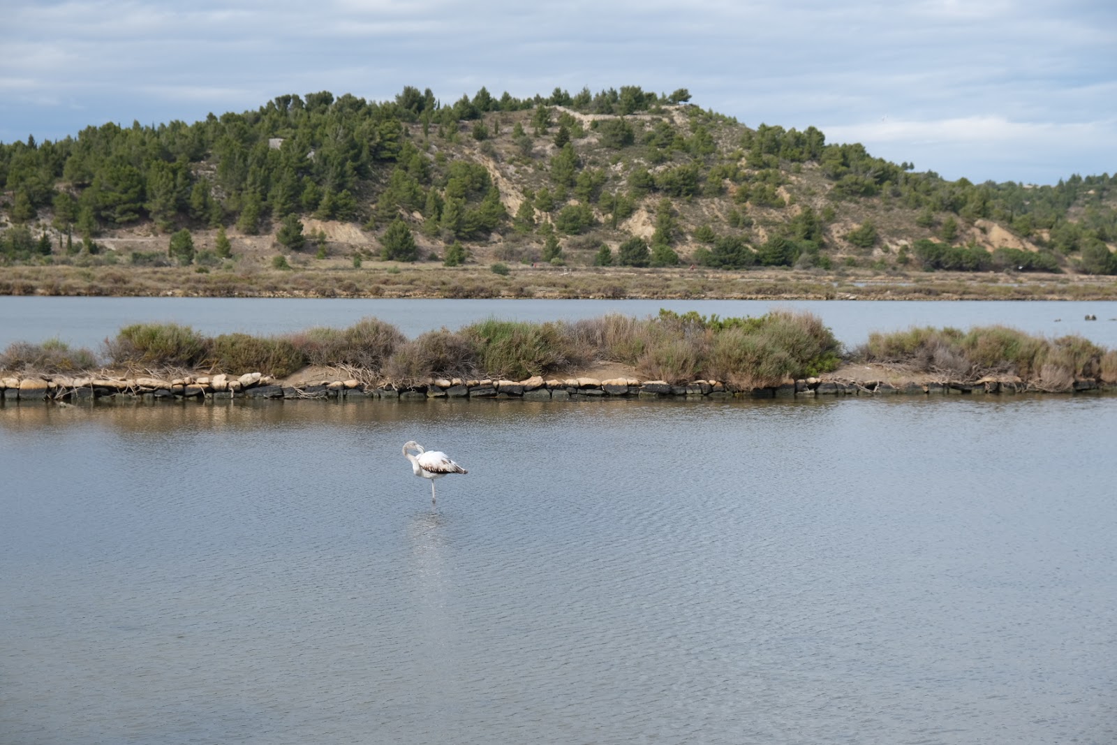 Photo 4 of Étang du Doul