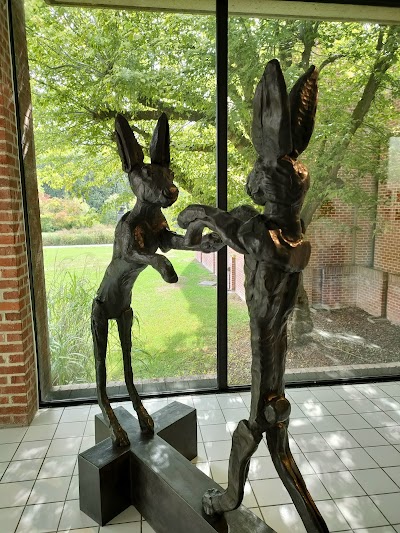 Photo 3 de LaM - Lille Métropole Musée d'art moderne, d'art contemporain et d'art brut