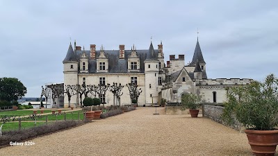Photo 1 de Château royal d'Amboise