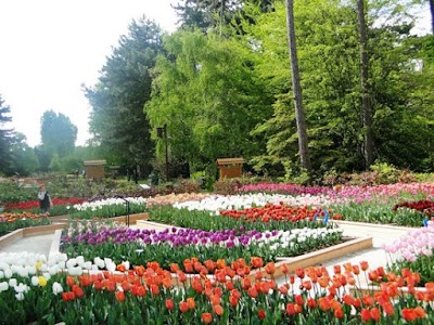 Parc floral de Paris