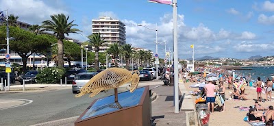 Photo 4 de Var