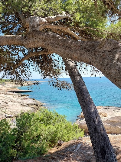 Photo 4 de La Calanque Bleue