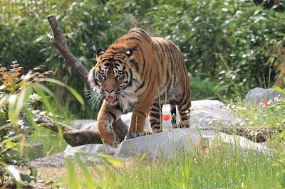 Photo 2 de Zoo d'Amiens Métropole