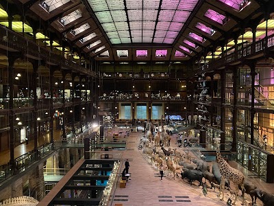 Photo 2 de Grande Galerie de l'Évolution