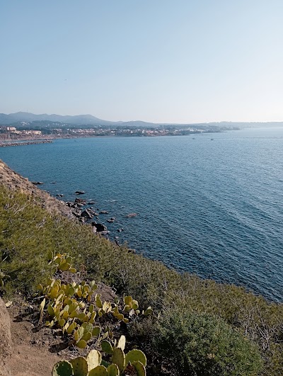 Photo 3 de Parc de la Méditerranée