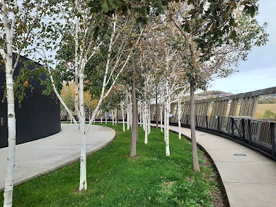Photo 3 de MuséoParc Alésia