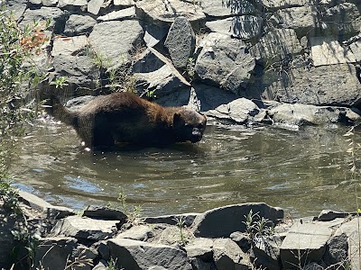 Photo 3 de EcoZonia - Parc Animalier