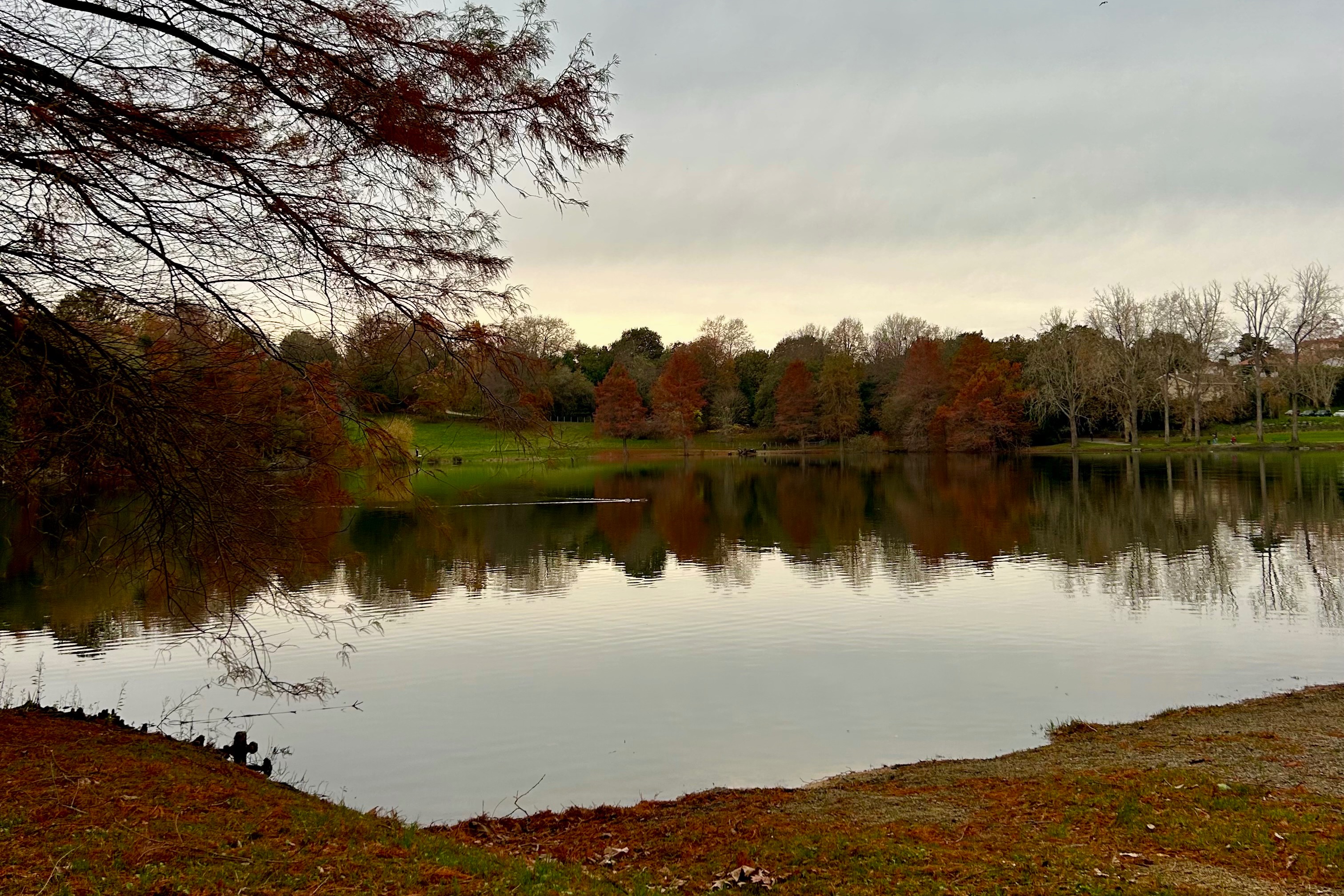 Photo 5 de Lac Marion