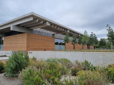 Musée Narbo Via