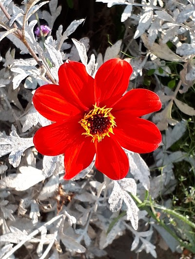 Photo 5 of Jardin des Plantes