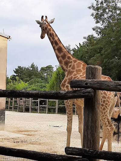 Photo 4 de Zoo de La Flèche