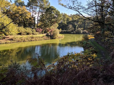Photo 3 of Bois de Thouars