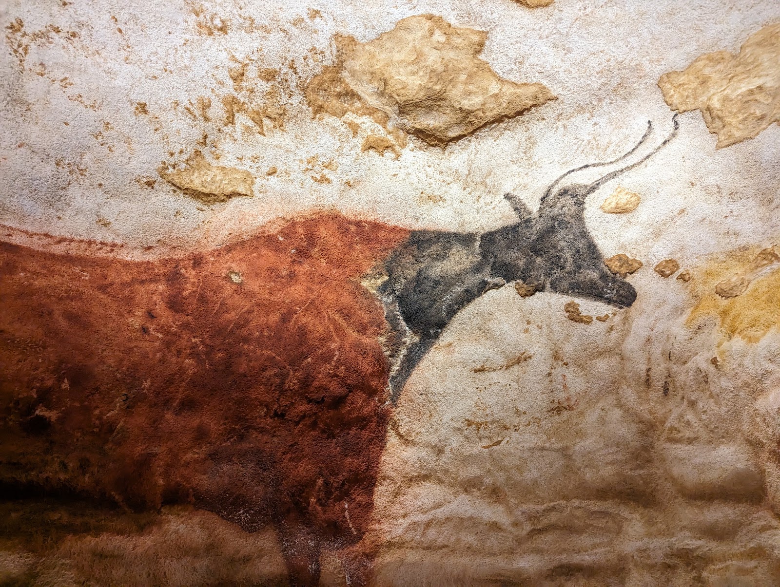 Photo 4 of Grottes de Lascaux