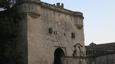 Photo 4 de Le Pont d'Avignon